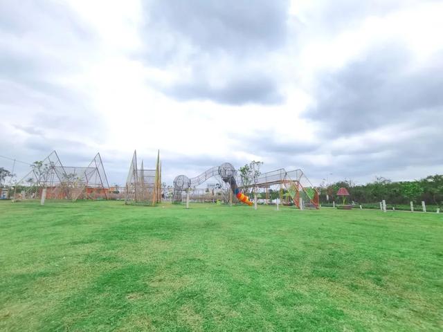 1647242540274284.jpeg 1647242540274284.jpeg