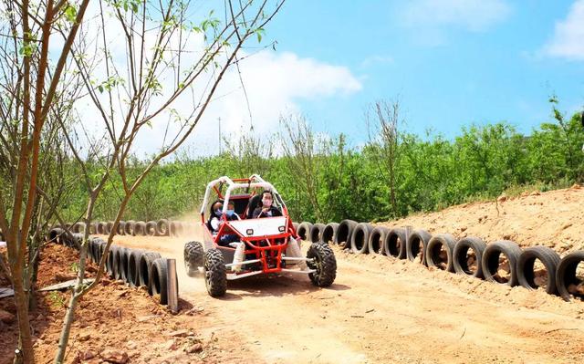 1647242522191749.jpeg 1647242522191749.jpeg