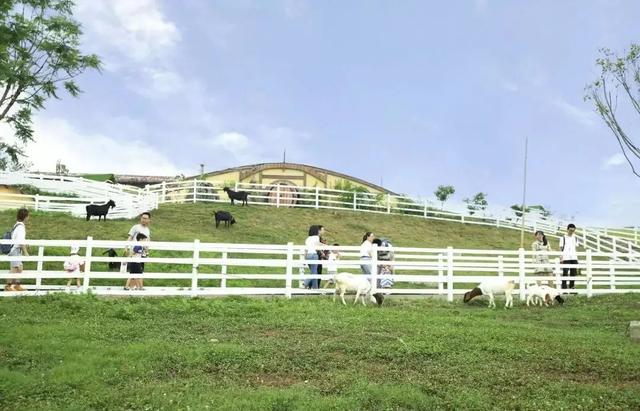 1647242380515778.jpeg 1647242380515778.jpeg