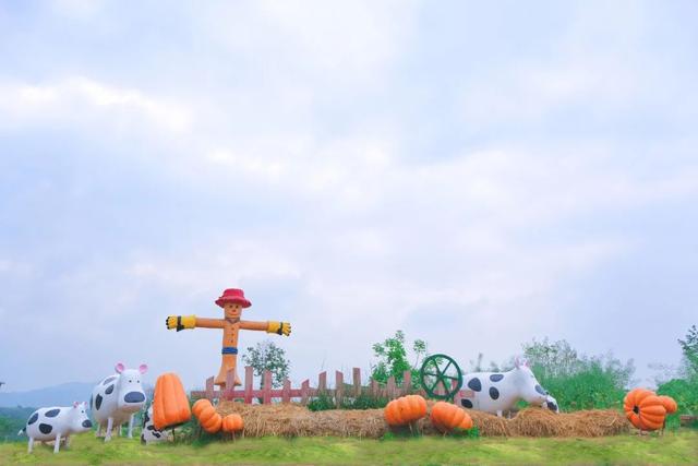 1647242355402605.jpeg 1647242355402605.jpeg