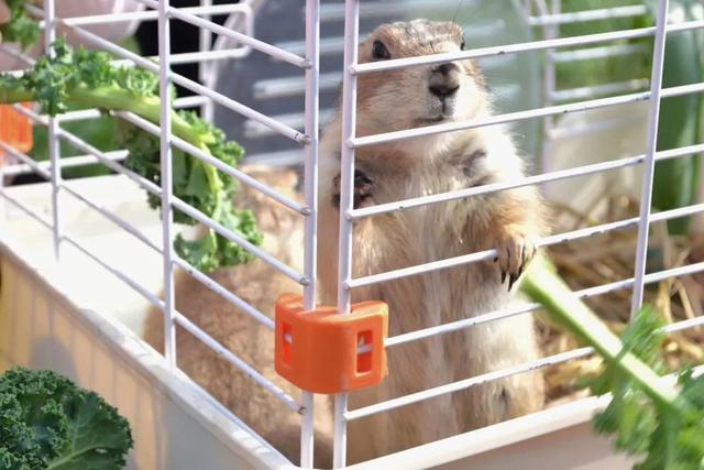 1647242504129142.jpeg 1647242504129142.jpeg